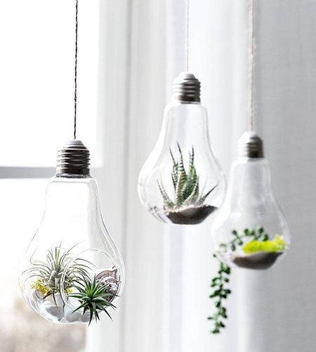 Three hanging glass light bulb terrariums containing small plants and decorative stones.