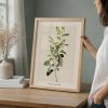 Bay Laurel Print Botanical Wall Art Poster